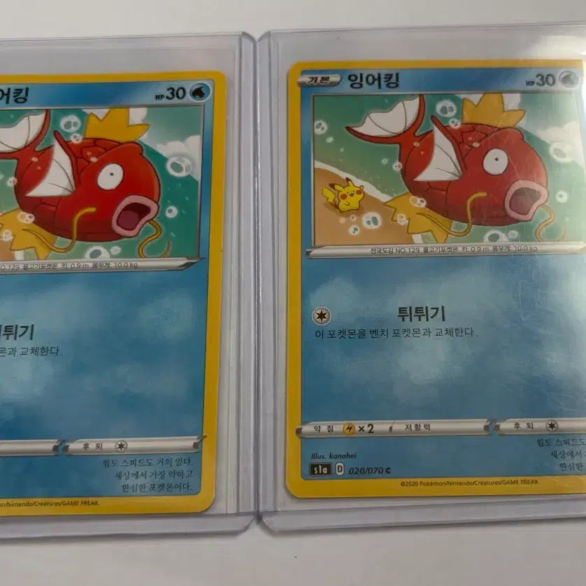 [BUNJANG] Pokemon Card Kanahei Magikarp Bundle Set / 포켓몬카드 카나헤이 잉어킹 일괄