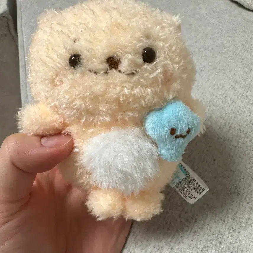 [BUNJANG] Shirotan Plush Toy with Shell Accessory / 조개든 시로탄 인형