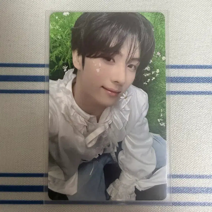 [BUNJANG] TWS NO TRAGEDY Japan HMV Lucky Draw Photocard (Youngjae) / (마지막 가격)투어스 TWS no tragedy 일본 HMV 특전(영재)