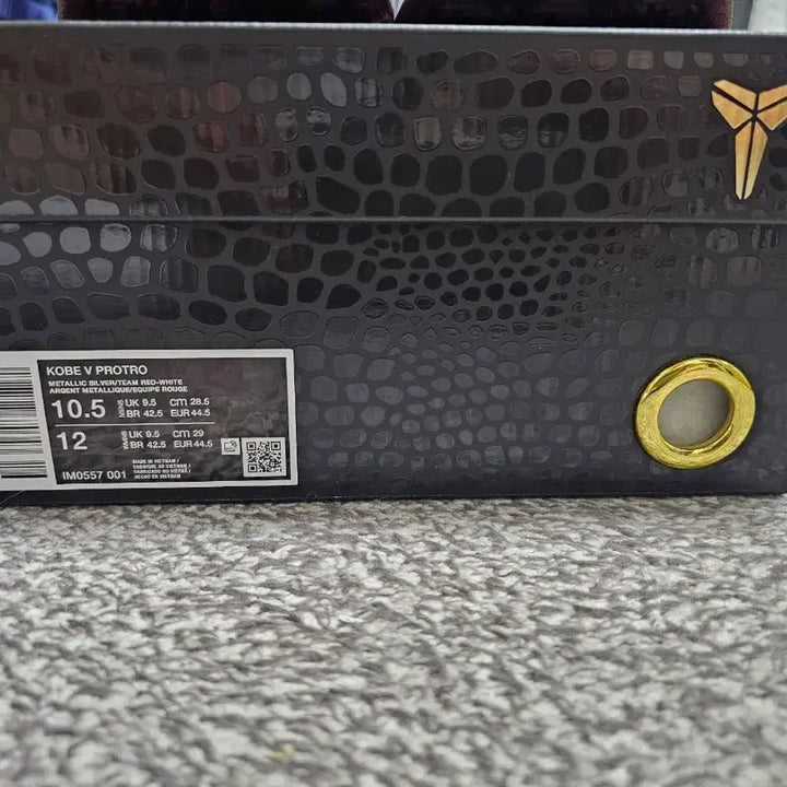 [BUNJANG] Nike Kobe 5 Protro Lower Merion Ace / 나이키 코비 5 프로트로 로우어 메리온 에이스