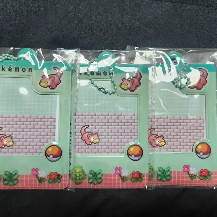 [BUNJANG] Tonymoly Pokemon Photocard Holder / 새상품) 포켓몬 토니모리 포토카드 홀더