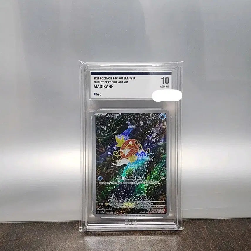 [BUNJANG] Magikarp Full Art Holo Trading Card (2023) / 포켓몬 카드 잉어킹 풀아트 brg 10