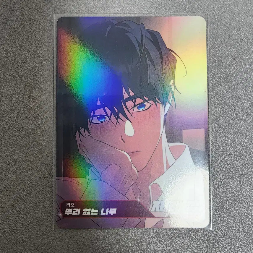 [BUNJANG] Resin Trading Card - Taekyung Cha / 레진트레이딩카드 레진수 뿌리 없는 나무 뿌없나 차태경 일반