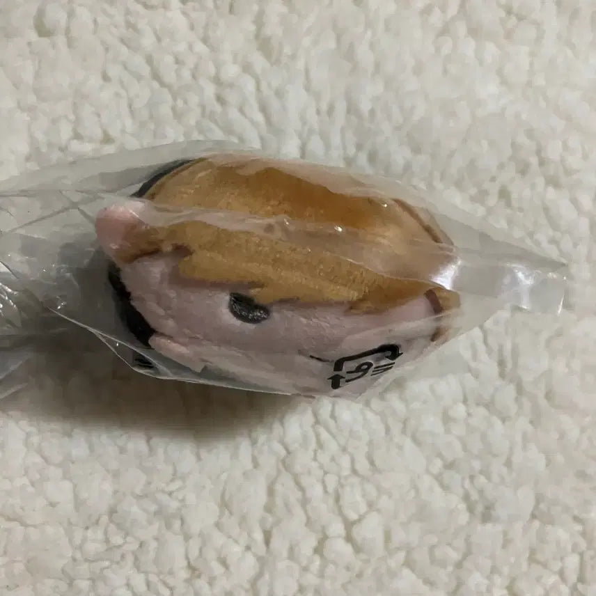 [BUNJANG] Haikyuu! Atsumu &