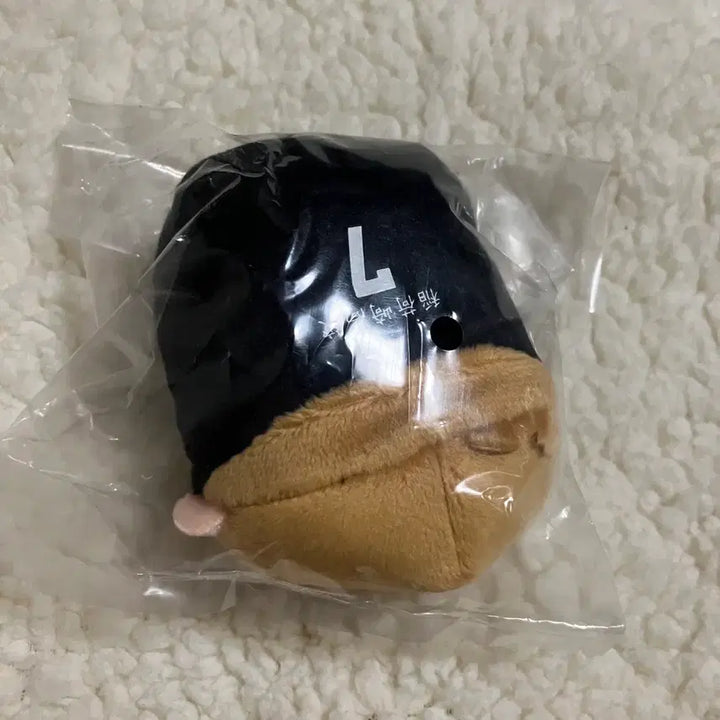 [BUNJANG] Haikyuu! Atsumu &