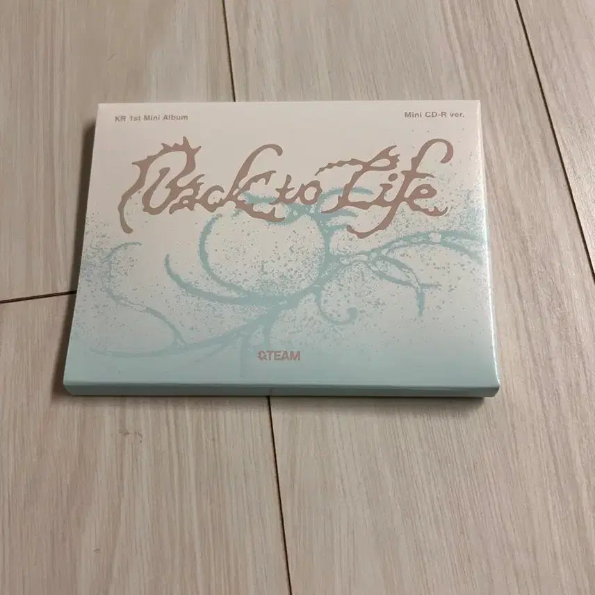 [BUNJANG] ENHYPEN BACK TO LIFE Mini CD-R / 앤팀 BACK TO LIFE MINI CD-R