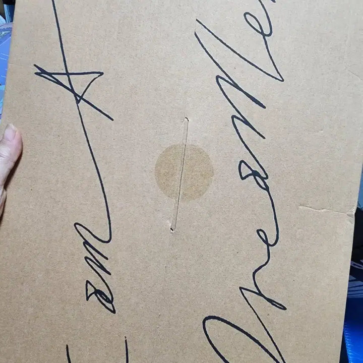 [BUNJANG] Park Hyo Shin Dream Concert Poster / 박효신 꿈콘 포스터