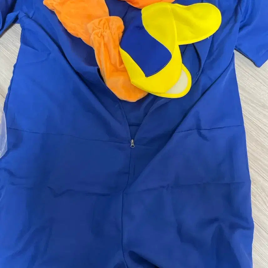 [BUNJANG] Pororo Graduation Photo Costume Set / 뽀로로 졸업사진 졸사