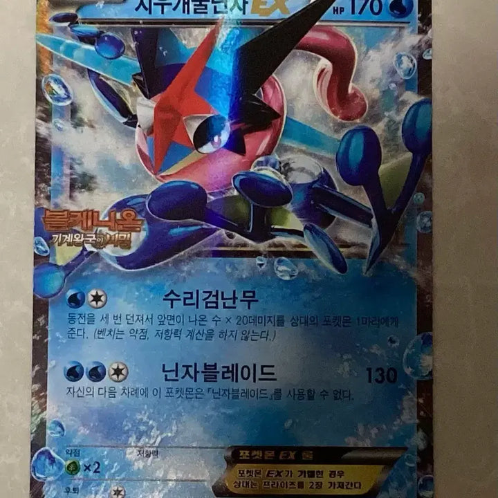 [BUNJANG] Pokemon Card Frogadier EX Promo / 급처)포켓몬카드 지우개굴닌자EX 프로모 팝니다