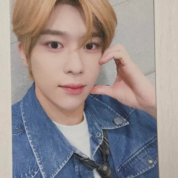 [BUNJANG] NCT WISH Sion Hello Live Photocard / 엔시티위시 시온 헬로라이브