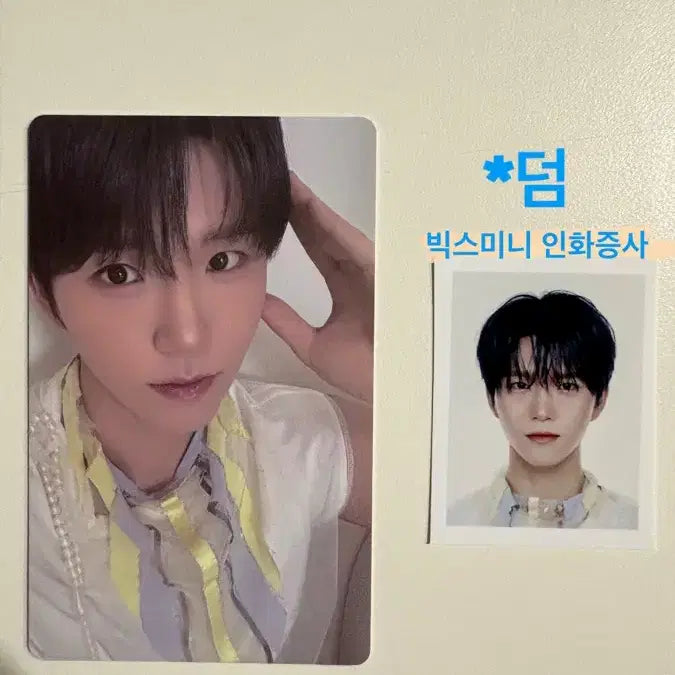 [BUNJANG] NCT WISH Sicheng Lucky Draw Photocard / 재희) 엔시티위시 위시네 오드투러브 라이브 언박싱 위버스 럭드