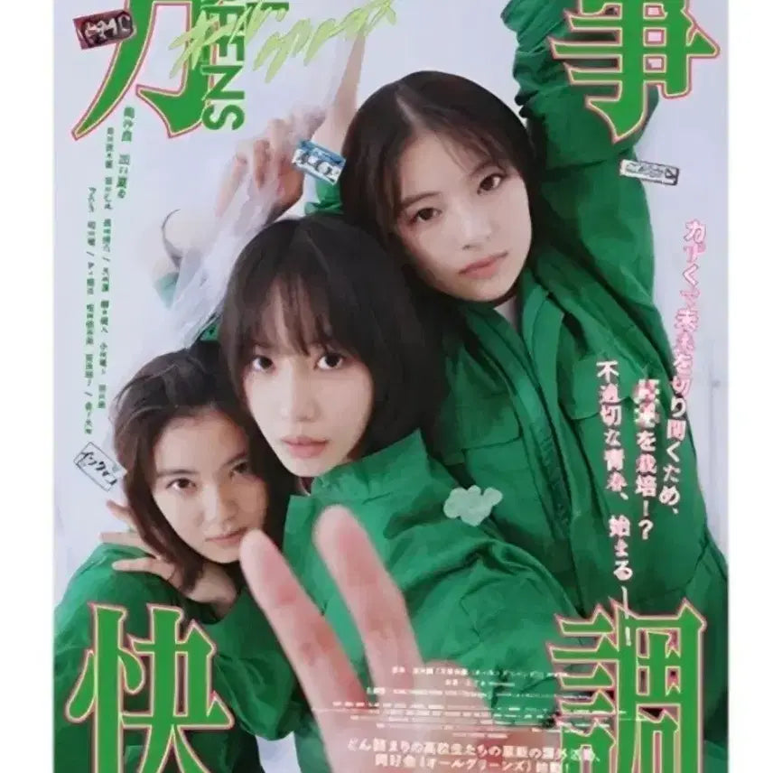 [BUNJANG] All Greens Original Poster / 올 그린스 오리지널 포스터