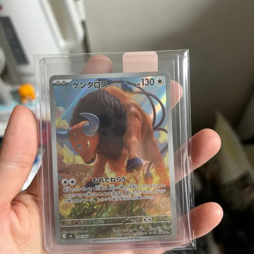 [BUNJANG] Pokemon Card Japanese AR / 포켓몬카드 일판 ar