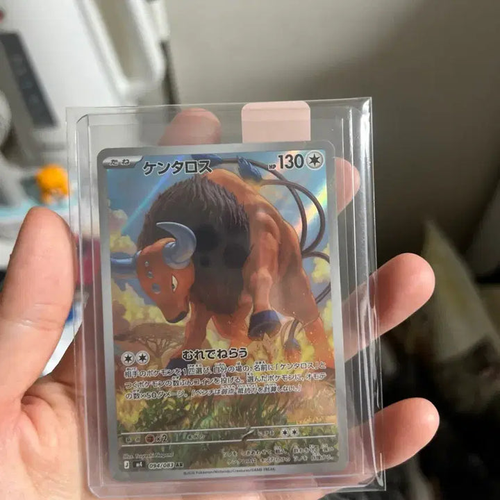[BUNJANG] Pokemon Card Japanese AR / 포켓몬카드 일판 ar