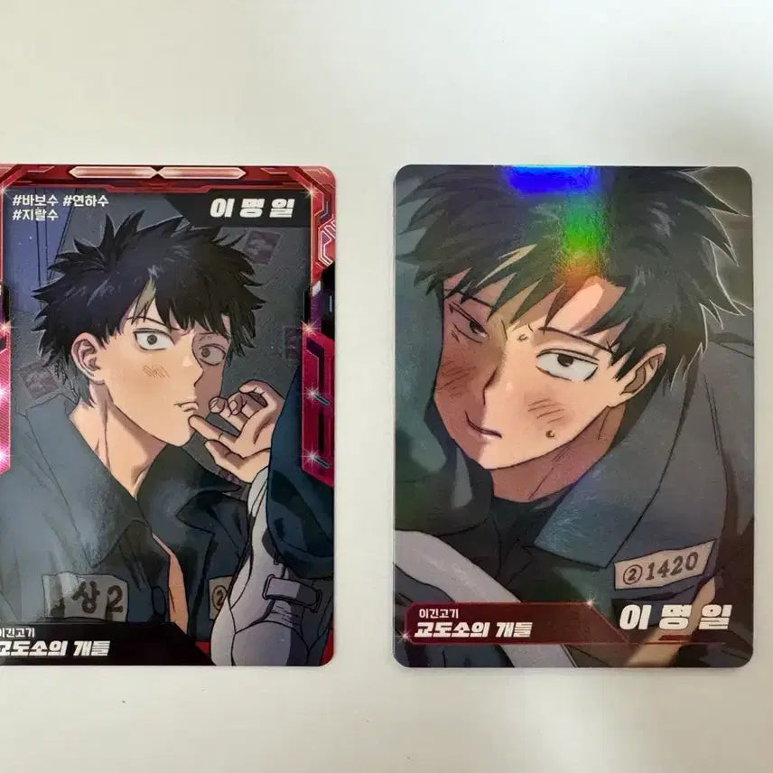 [BUNJANG] Resin AR Trading Card ver.2 Lee Myeong-il (Normal, Special) Bundle Set / 레진 AR 트레이딩 카드 ver.2 이명일(일반, 스페셜)