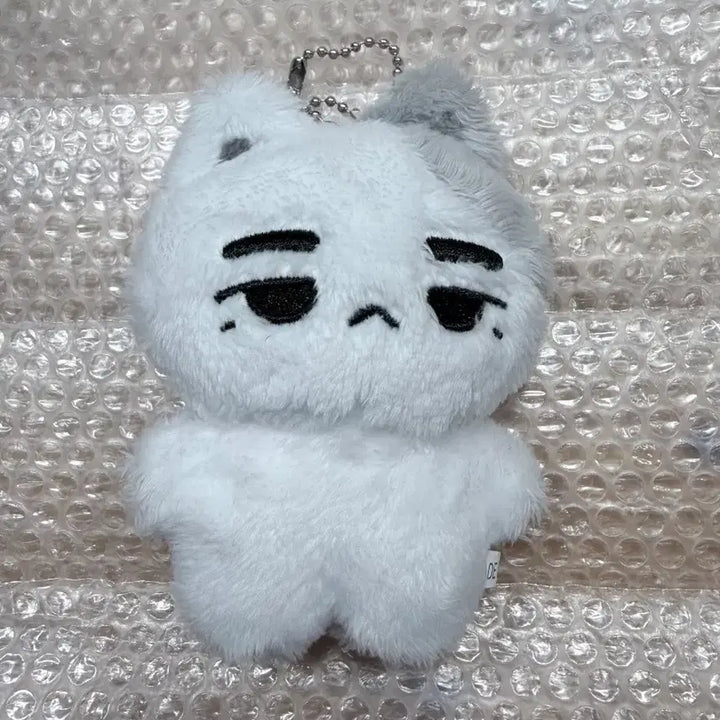 [BUNJANG] GOT7 Jinyoung Nyangyi Doll / 갓세븐 진영 박진영 녕냥이 비공굿 인형