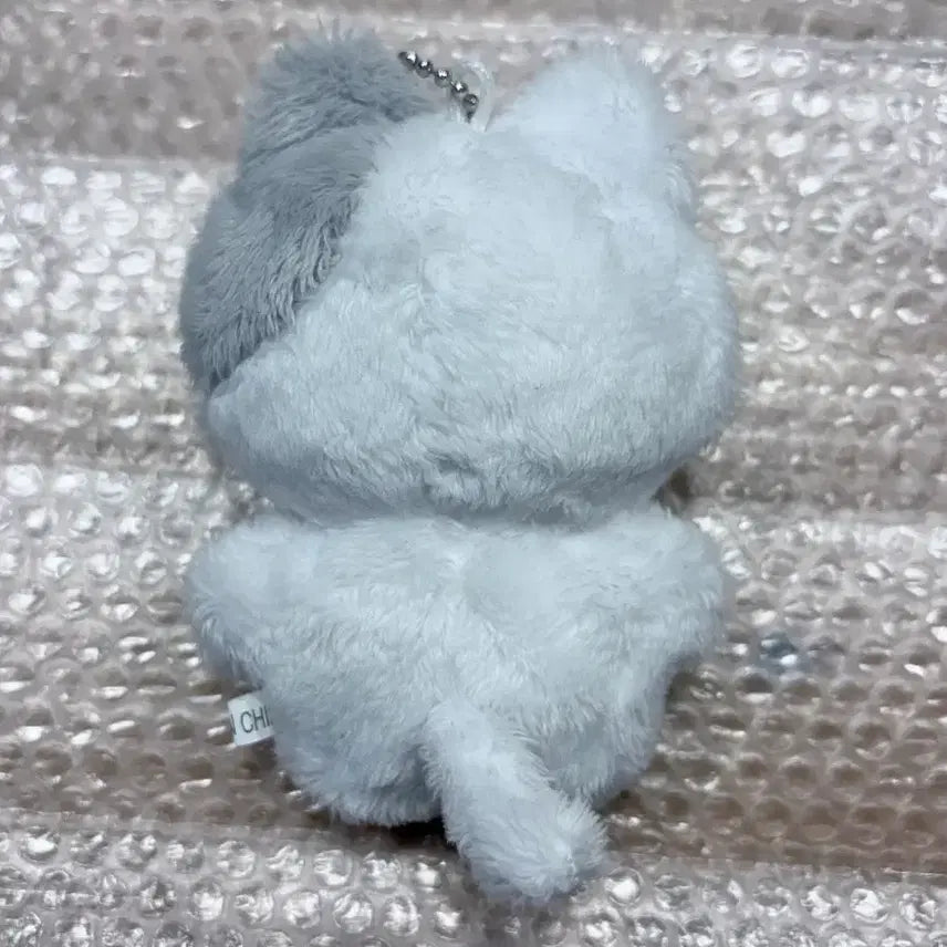 [BUNJANG] GOT7 Jinyoung Nyangyi Doll / 갓세븐 진영 박진영 녕냥이 비공굿 인형