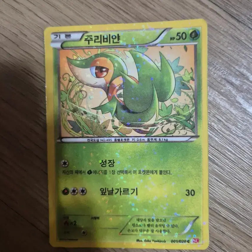 [BUNJANG] Pokemon Card Jurian / 포켓몬카드 주리비얀