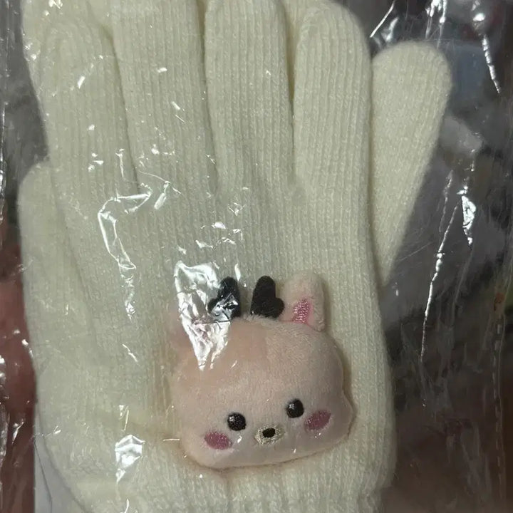 [BUNJANG] RIIZE Sungchan Woorakbam Gloves Photocard Set / 라이즈 허그 성찬 우락밤 장갑 포카포함