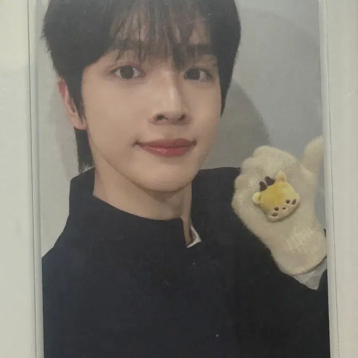 [BUNJANG] RIIZE Sungchan Woorakbam Gloves Photocard Set / 라이즈 허그 성찬 우락밤 장갑 포카포함