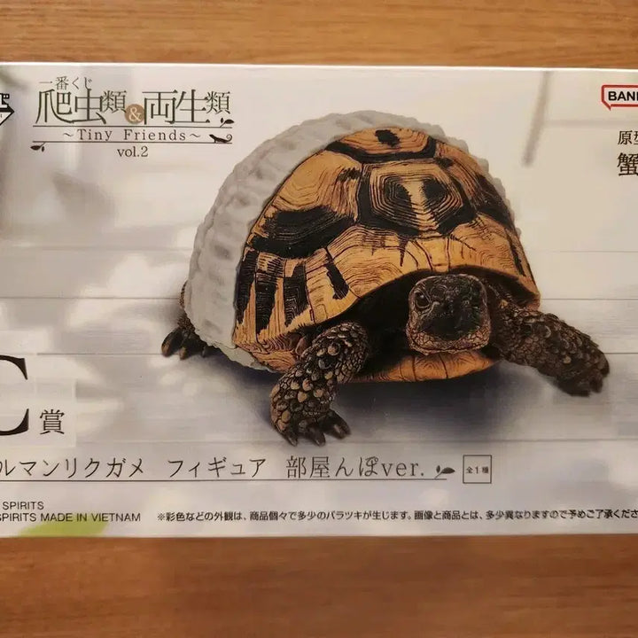 [BUNJANG] Tiny Friends Reptile &amp; Amphibian Ichiban Kuji C Prize Turtle / 미개봉 파충류&amp;양서류~tiny friends~ 제일복권 쿠지 C상 거북이