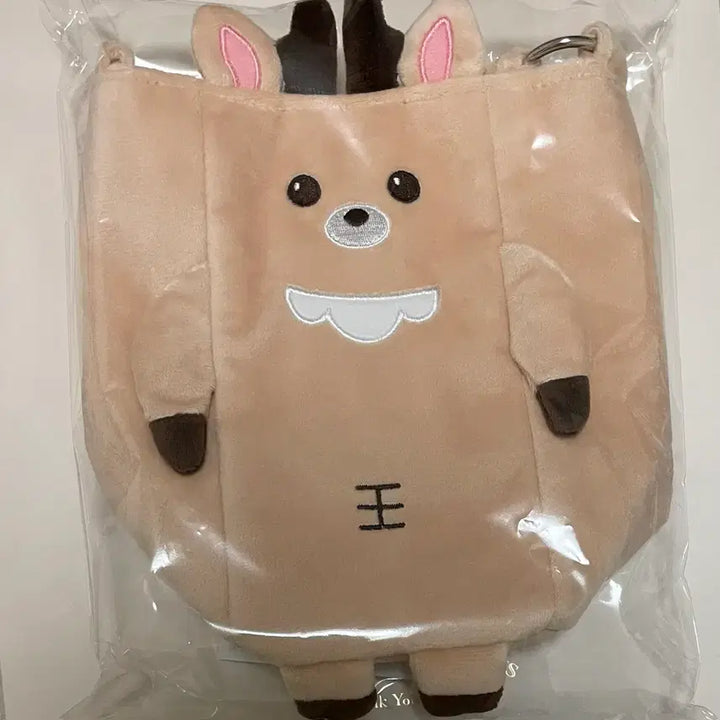 [BUNJANG] RIIZE Fanlight Support Rod Bag / 라이즈 팬라이트 응원봉 가방