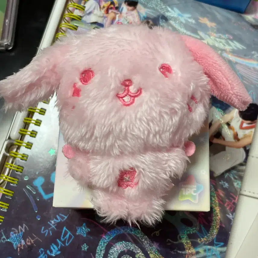 [BUNJANG] NCT WISH Color Wish Doll RynRyn Pink / 엔시티위시 컬러위시돌 룐룐이 양도