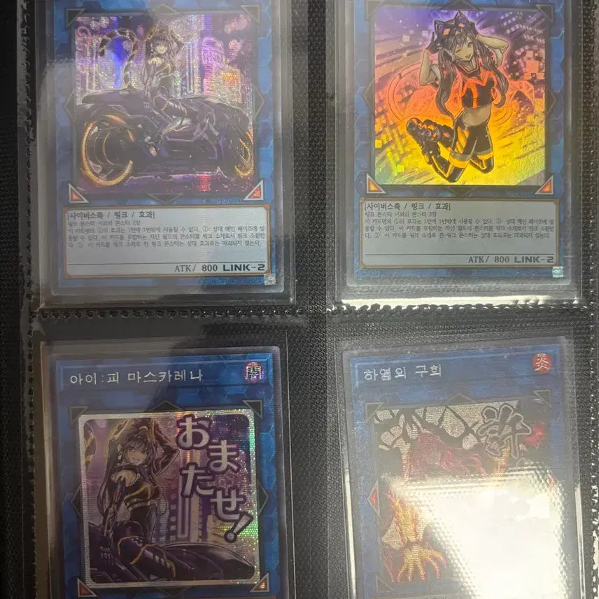 [BUNJANG] Yu-Gi-Oh! Collection Bundle: Blue-Eyes White Dragon, Red-Eyes Black Dragon, Egyptian Gods, Hand Traps, and More / [*마지막 가격 내림*]유희왕 (백룡/흑룡/삼환신/패트랩 등