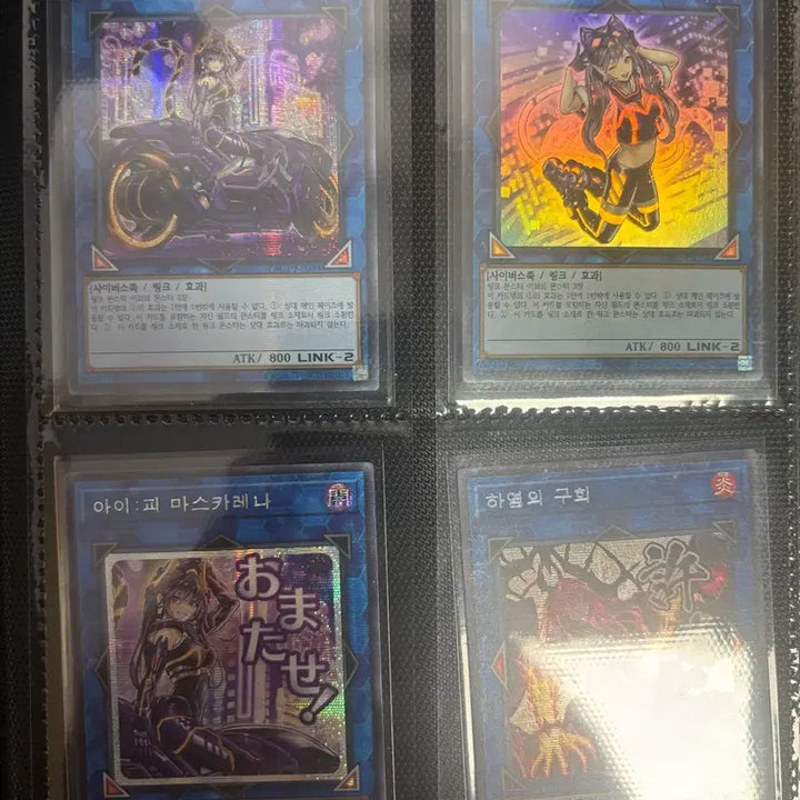 [BUNJANG] Yu-Gi-Oh! Collection Bundle: Blue-Eyes White Dragon, Red-Eyes Black Dragon, Egyptian Gods, Hand Traps, and More / [*마지막 가격 내림*]유희왕 (백룡/흑룡/삼환신/패트랩 등