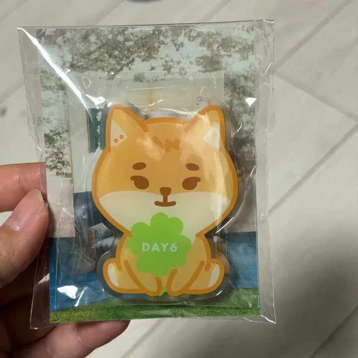 [BUNJANG] DAY6 Forever Young Japan MD Dennyz Grip Talk - K (Young K) Sealed / (미개봉) 데이식스 포에버영 일본md 데니멀즈 그립톡-케(영케이)