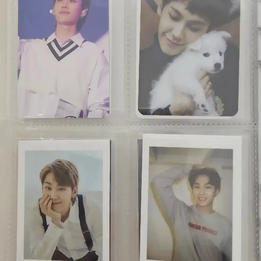[BUNJANG] BTOB Jung Il-hoon Photocard / *급처 가격내림*(전)비투비 정일훈 포카 판매