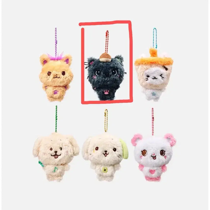 [BUNJANG] NCT WISH Pocket Wishdoll Kuri / 엔시티위시 포켓위시돌 쿠리