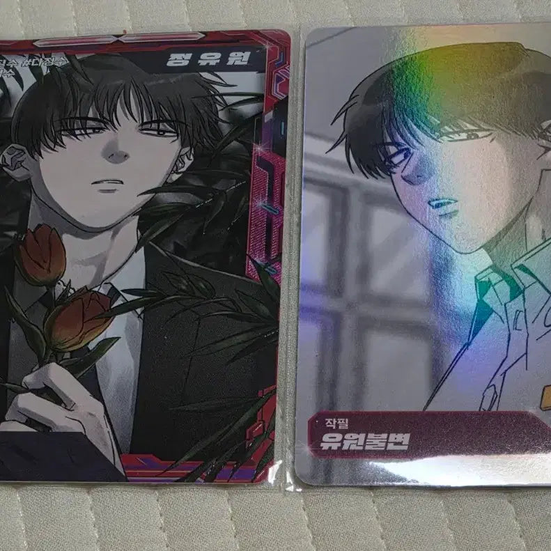 [BUNJANG] Yuwon K-Pop AR Trading Card Ver.1 / [레진수] 유원불변 전유원 AR 트레이딩 카드 ver.1
