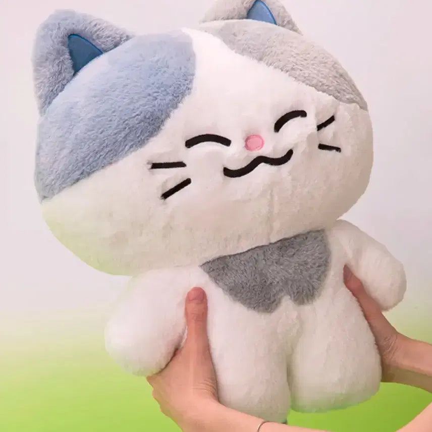 [BUNJANG] NCT DREAM Chenle Dreamies "Rummyeo" Plush Doll / 엔시티 드림 천러 드리미즈 대왕 러묘 양도