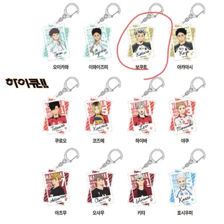 [BUNJANG] Haikyuu!! Trading Acrylic Keychain Bokuto Koutarou / 하이큐 트레이딩 아크릴 키링 보쿠토 코타로 (+아크릴 키체인)