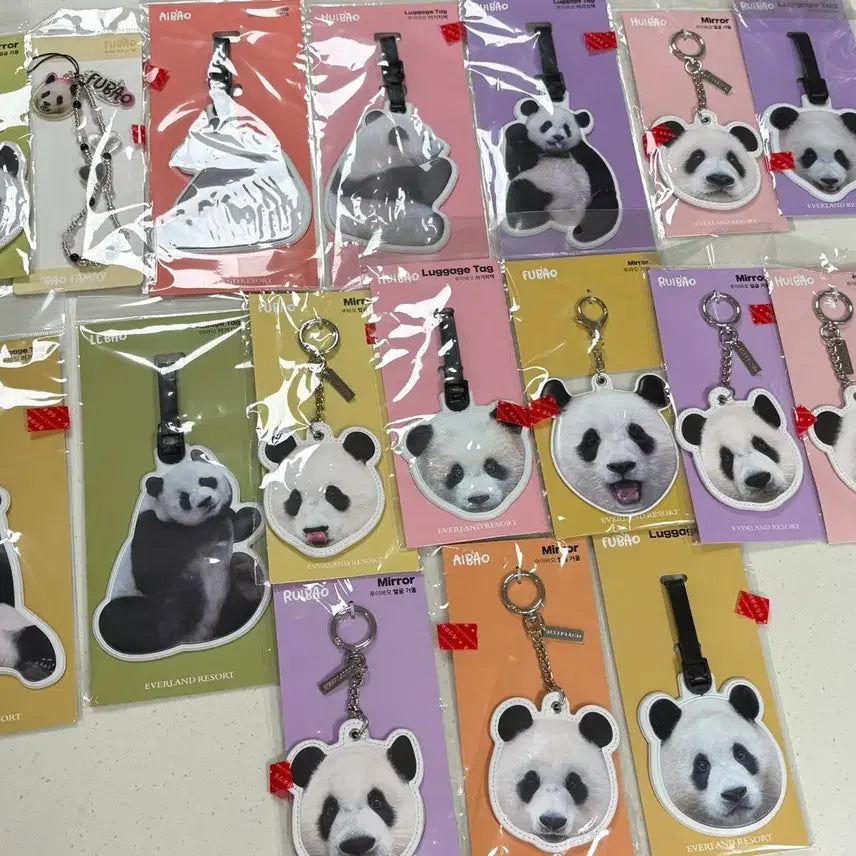 [BUNJANG] Everland Bao Family Name Tag Bundle Set / 에버랜드 푸바오 바오패밀리 일괄