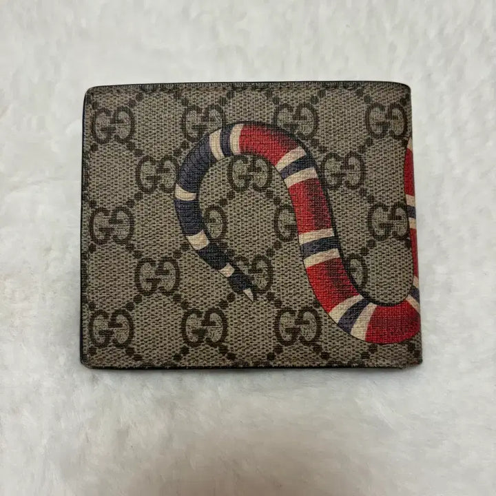 [BUNJANG] Gucci Snake Wallet / 정품 구찌 스네이크 지갑
