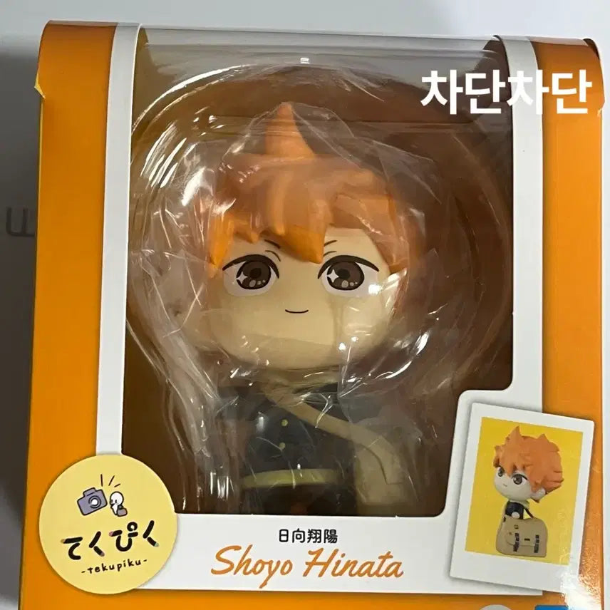 [BUNJANG] Haikyuu!! Techu Piku Hinata Sealed / (미개봉)하이큐 테쿠피쿠 히나타 새상품