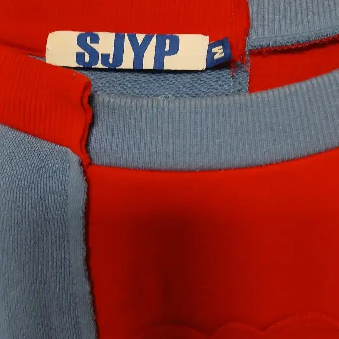 [BUNJANG] SJYP Color Block Sweatshirt - Size M / SJYP 컬러 블록 맨투맨 티셔츠 M사이즈