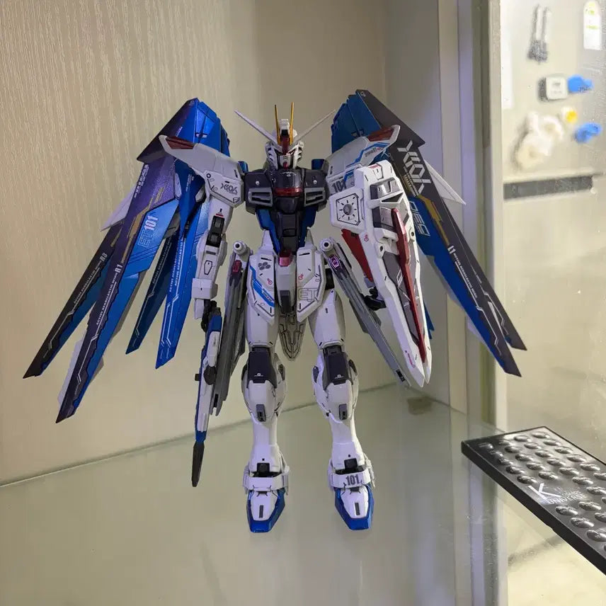 [BUNJANG] Master Grade Freedom Gundam - Custom Painted / MG 프리덤 건담 도색작 팝니다