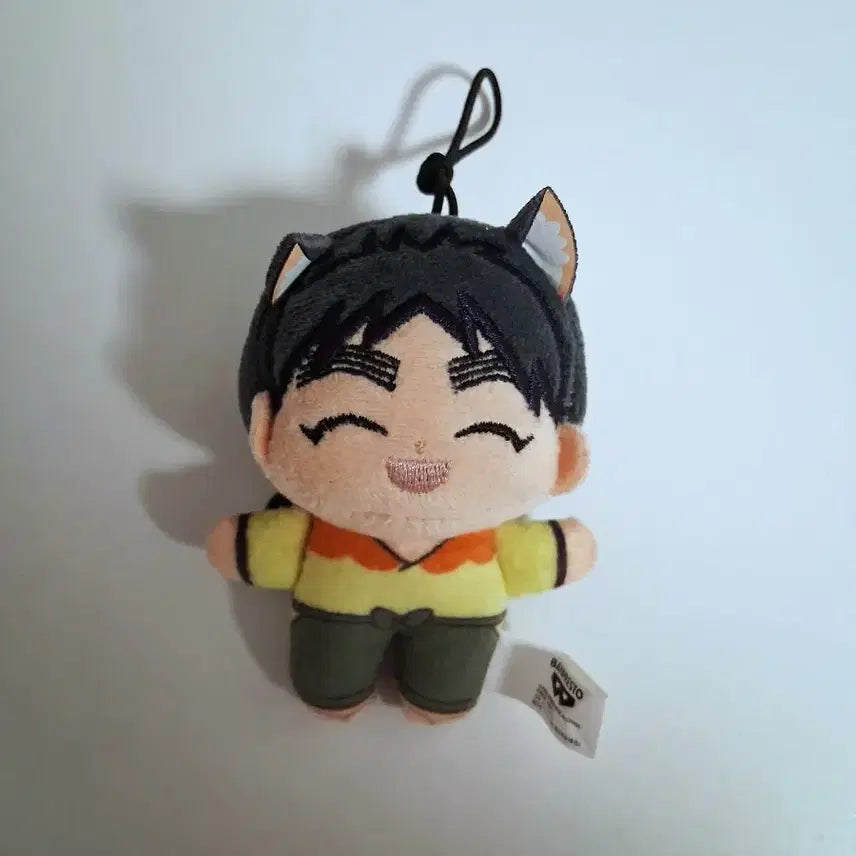 [BUNJANG] Nintama Rantarou Kukuchi Nyanhowanui Plush / 닌타마 쿠쿠치 냥호와누이