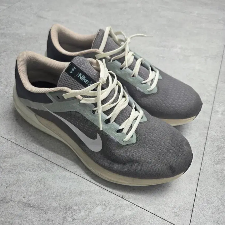 [BUNJANG] Nike Air Winflo 10 Running Shoes (285) / 나이키 런닝화 에어윈플로10 런닝화 285