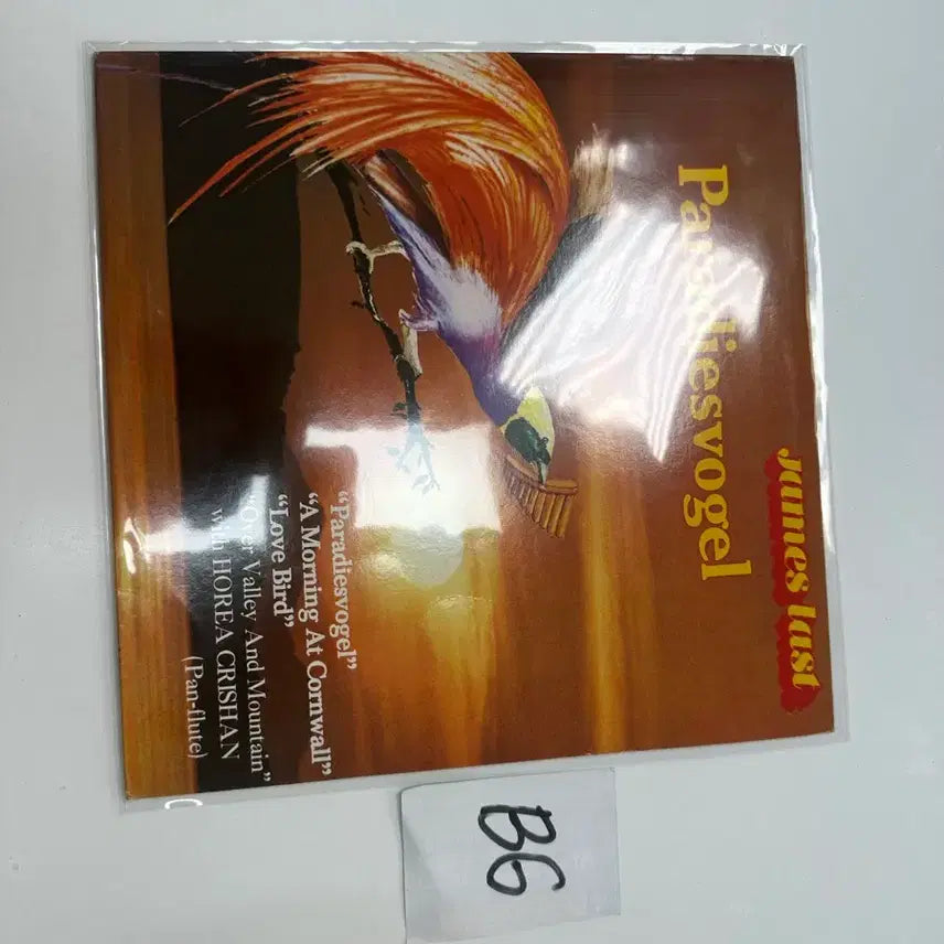 [BUNJANG] James Last Paradiesvogel LP (Korean Press) - Rare / 제임스 라스트 Paradiesvogel LP 초희귀 국내반 팝니다