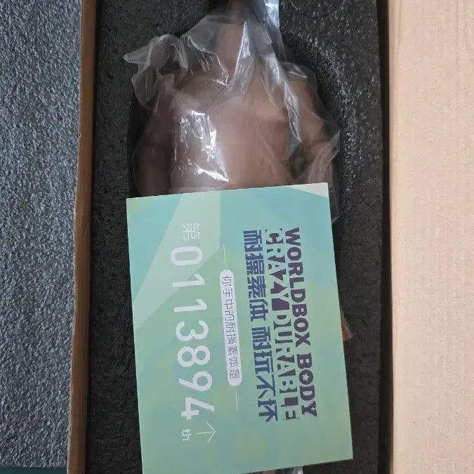 [BUNJANG] WorldBox AT018 Action Figure Body 2021 / 월드박스 AT018 액션 피규어 바디 2021