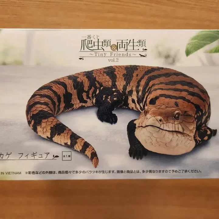 [BUNJANG] Tiny Friends Reptile &amp; Amphibian Ichiban Kuji A Prize / 미개봉 파충류&amp;양서류 ~tiny friends~  제일복권 쿠지 A상