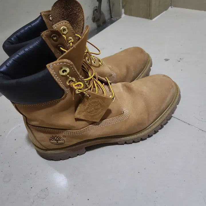 [BUNJANG] Timberland 6-Inch Boots Size 270 / 팀버랜드 6인치 부츠 270