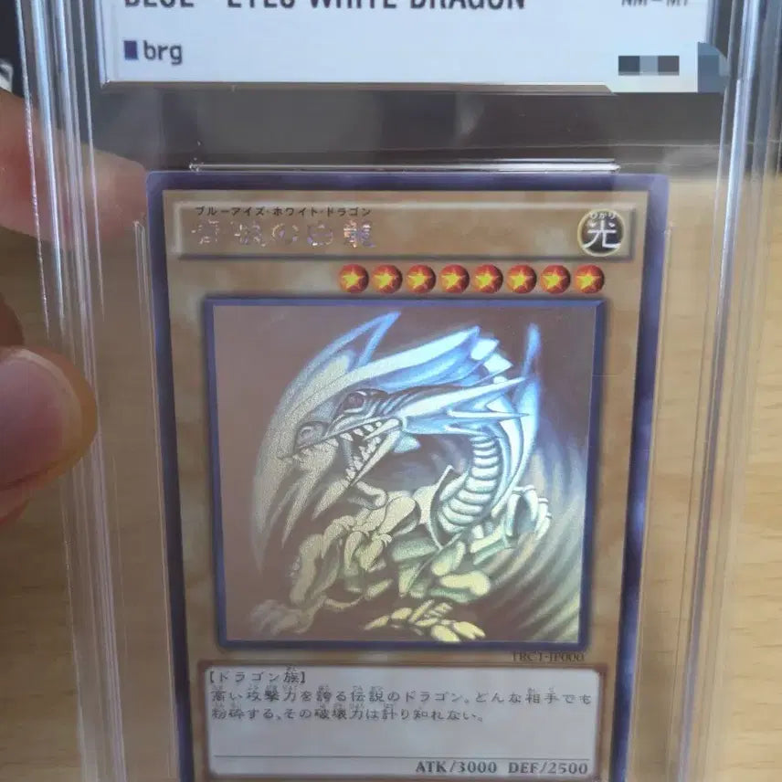 [BUNJANG] Yu-Gi-Oh! Blue-Eyes White Dragon Holo TRC1 Japanese BRG8 / 유희왕 푸른눈의백룡 홀로 TRC1 일본판 BRG8