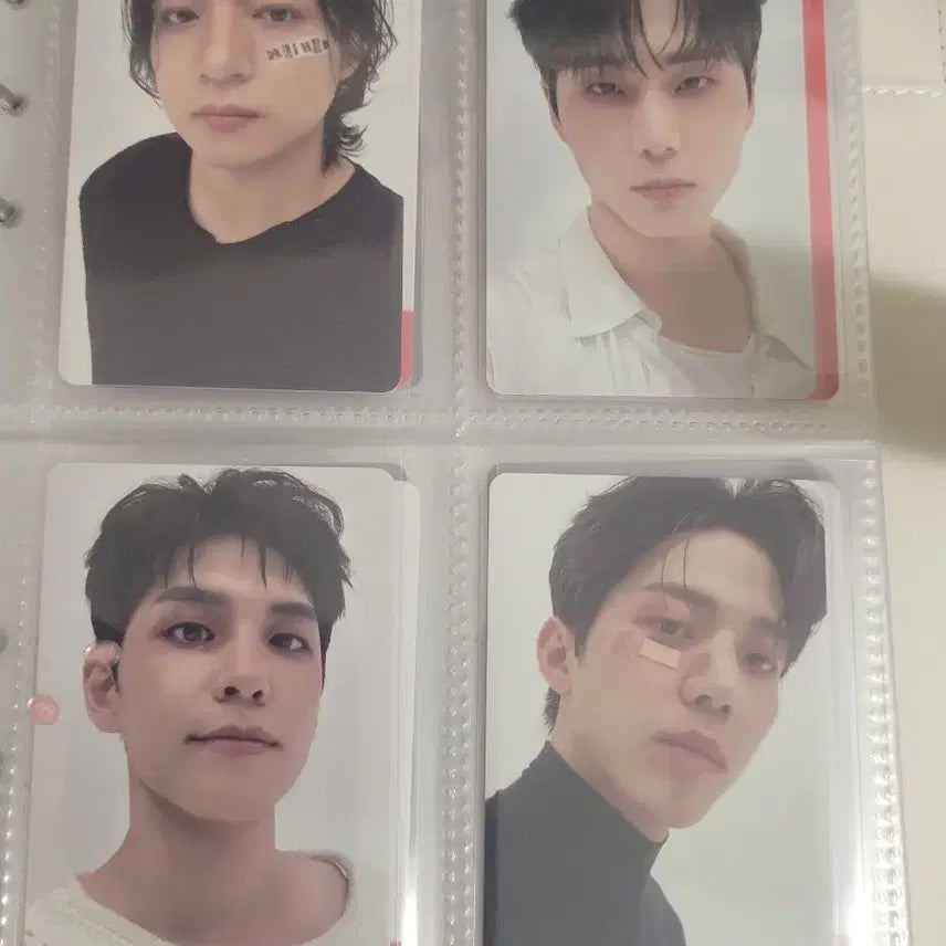 [BUNJANG] DAY6 Band Aid Photocard Bundle Set - Wonpil, Sungjin, Young K, Dowoon / 데이식스 밴드에이드 포카 일괄판매 원필성진영케이도운