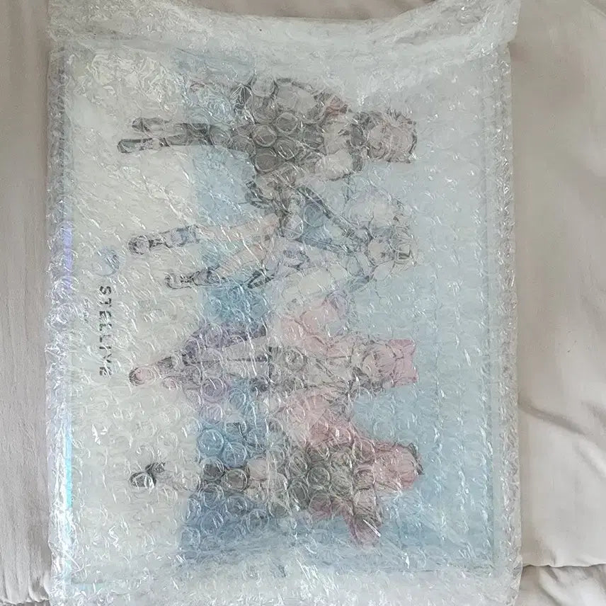 [BUNJANG] Stellive 2025 AGF Acrylic Frame / 스텔라이브 2025 AGF 아크릴 액자