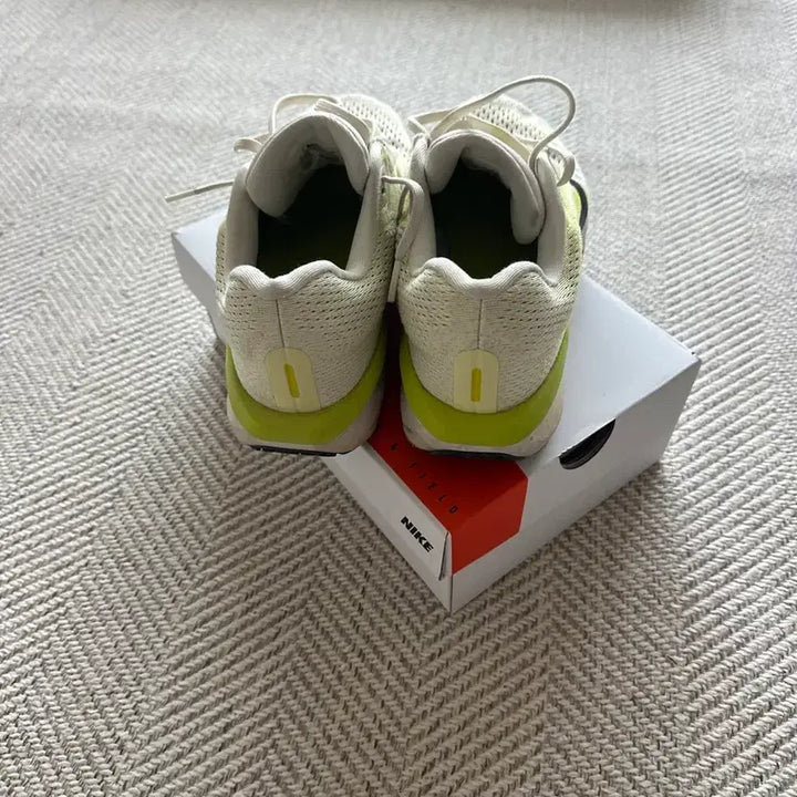 [BUNJANG] Nike Air Zoom Pegasus 41 Running Shoes (260cm) / 나이키  페가수스 41 260cm
